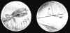 Silver Disc.jpg (16572 bytes)